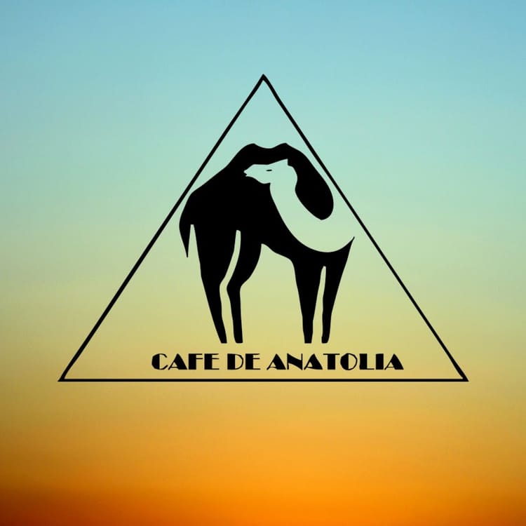 DISCOVER SOULFUL - HOUSE - JACKIN - AFRO - 450 TRACKS