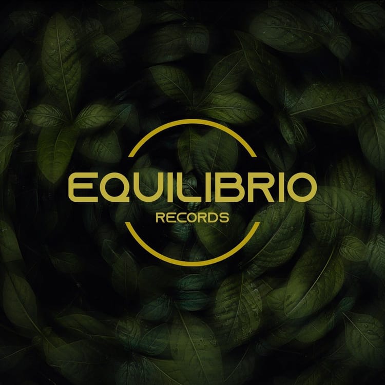 DISCOVER DANCE - AFRO - ELECTRONICA - TECH - DEEP - 600 TRACKS